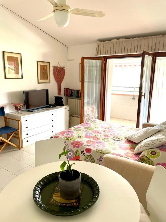Giulia'S Apartment 维亚雷焦 外观 照片